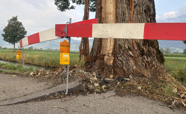 Nicht nur den Baum traf es: Blitzschlag beschädigt Pappel – und den Strassenbelag