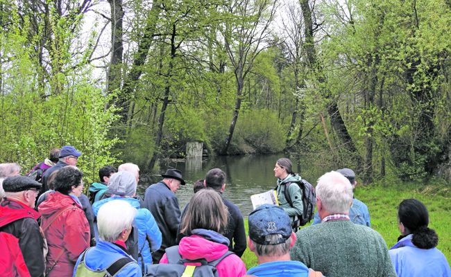 Ornithologen entdecken schillernde und seltene Tiere