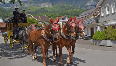 Mit fünf PS gemütlich unterwegs: Reise im Nachbau der historischen Postkutsche