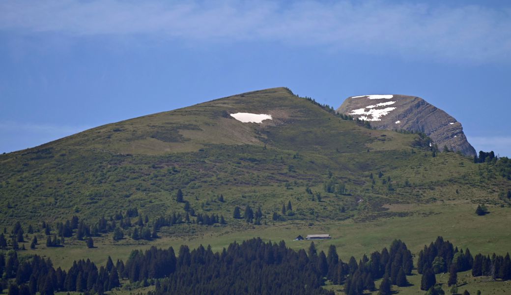 Er ist wieder weg: Schneefleck hielt weniger lang als in den Vorjahren