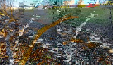 Hemberg: 46-jähriger Mann verletzt sich beim Fällen eines Baums