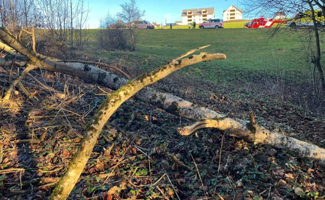 Hemberg: 46-jähriger Mann verletzt sich beim Fällen eines Baums