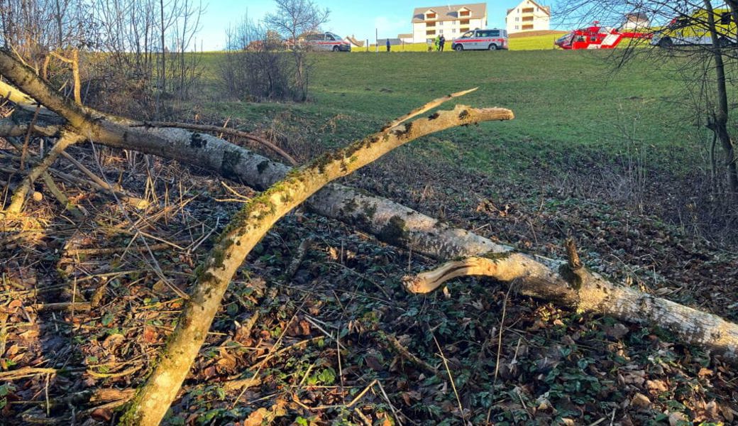  Beim Fällen eines Baumes in Hemberg verletzte sich ein 46-jähriger Mann. 