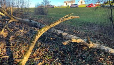 Hemberg: 46-jähriger Mann verletzt sich beim Fällen eines Baums
