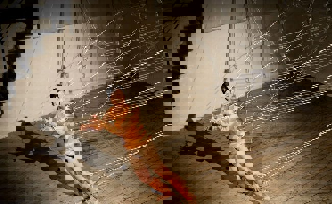 Die Schlossmediale ist gestartet: Wo Klang und Bild und Raum verschmelzen