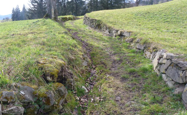 Kulturhistorische Bedeutung und Lebensraum: Gams will Trockenmauern instand stellen