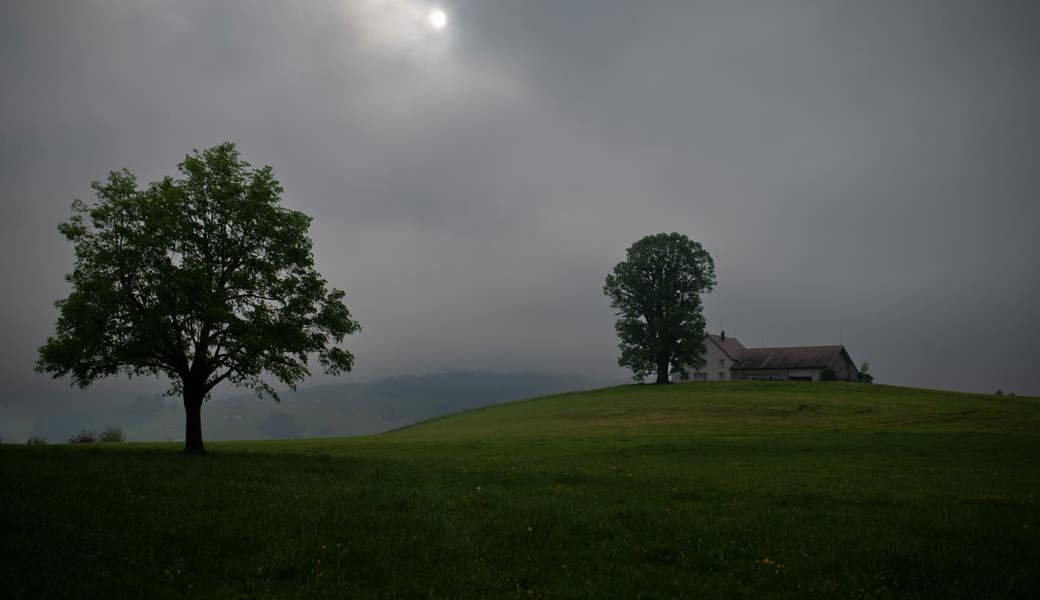 Das Baumschutzprojekt in Ausserrhoden beteiligt sich finanziell an den Kosten der Baumpflege.