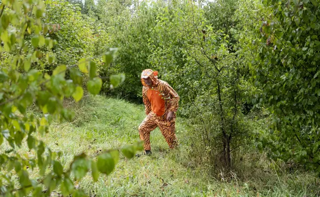 Tiger auf freiem Fuss: Walter Zoo trainiert für den Ernstfall