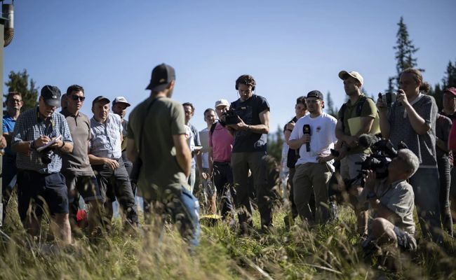 «Wettrüsten zwischen Hirt und Wolf»: Bauernvertreter fordern Abschuss der Flumser Problemwölfe