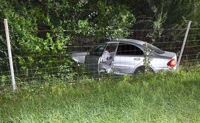 25-Jähriger landete mit Auto in Wildschutzzaun