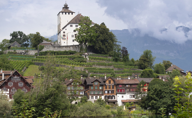 2000 Objekte inventarisieren: Freunde Schloss Werdenberg unterstützen Projekt