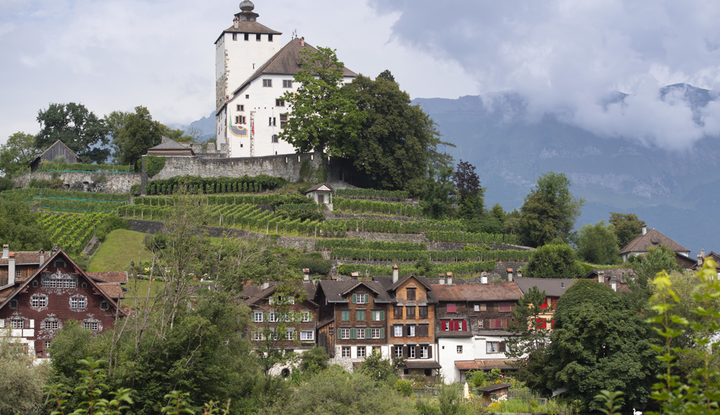 Die Freunde Schloss Werdenberg unterstützen das Projekt mit jährlich 10'000 Franken. 