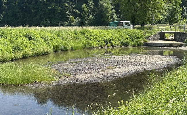 Wassermangel: Erste Notabfischungen nötig