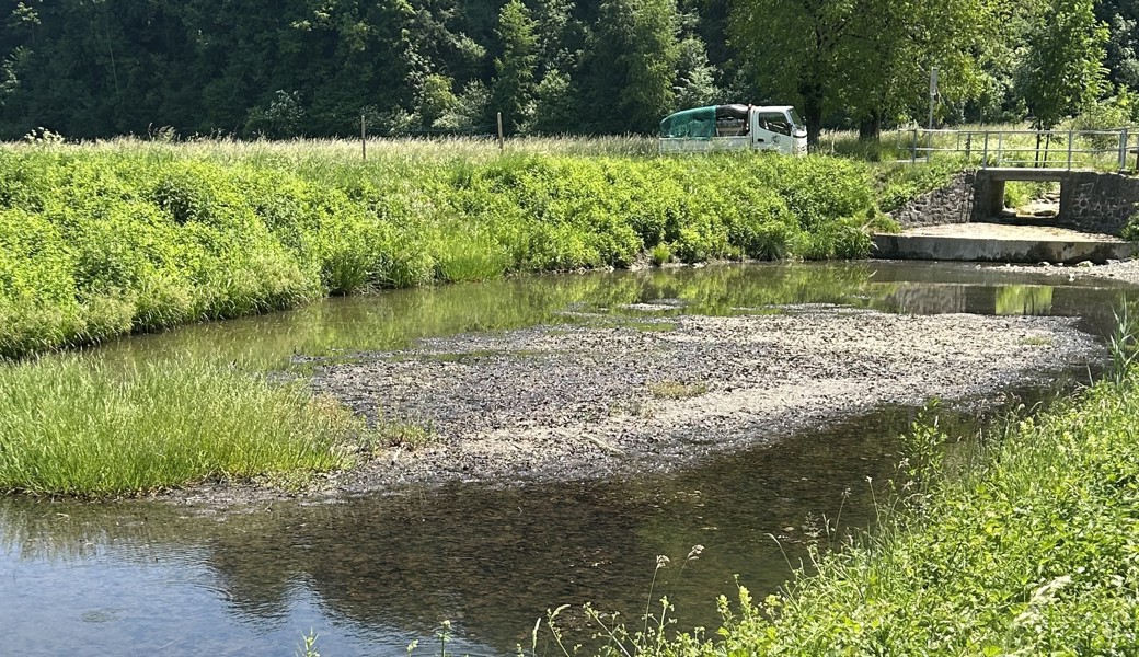 Wassermangel: Erste Notabfischungen nötig