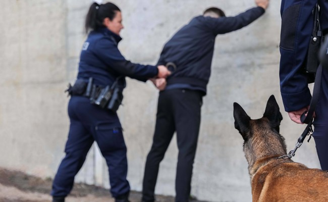 Polizeihund spürt mutmasslichen Einbrecher auf