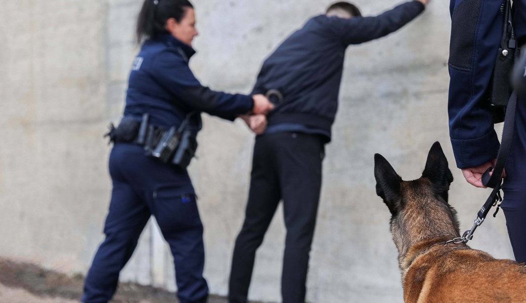 Polizeihund spürt mutmasslichen Einbrecher auf
