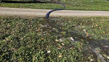 Bach mit Gülle verschmutzt – Fische tot