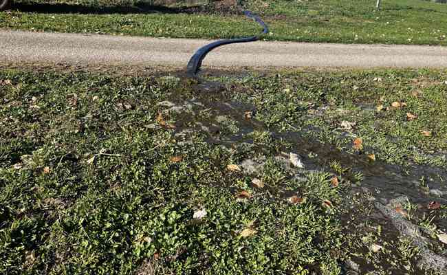 Bach mit Gülle verschmutzt – Fische tot