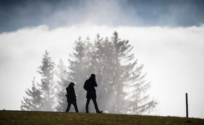 Novemberblues: Wenn das Dauer-Herbstgrau aufs Gemüt schlägt