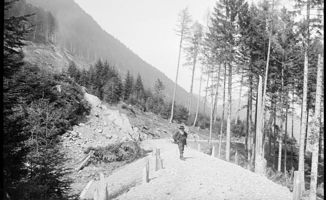 Einblicke in frühere Forschungsarbeit