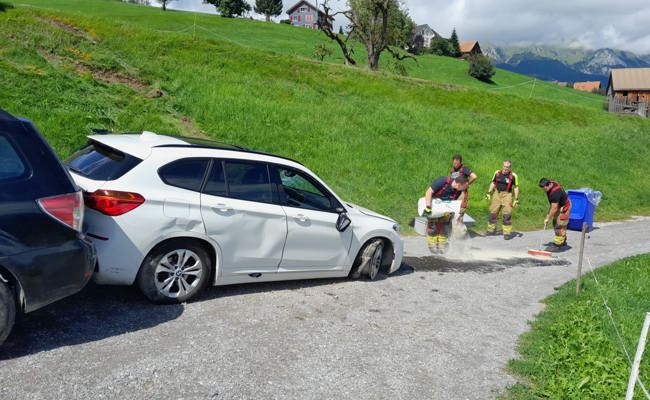 Mit Auto die Strassenböschung hinabgestürzt