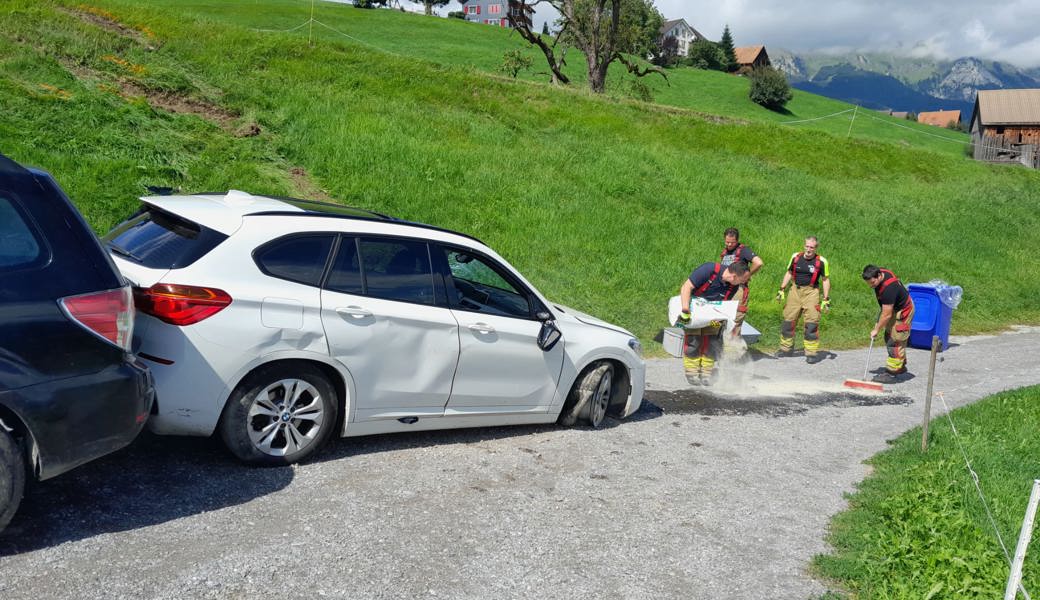 Mit Auto die Strassenböschung hinabgestürzt