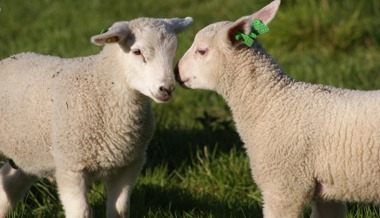 Kinderkram: «Ich mach’s nicht, oder vielleicht doch?»