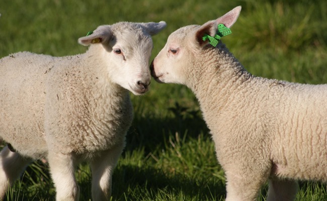 Kinderkram: «Ich mach’s nicht, oder vielleicht doch?»