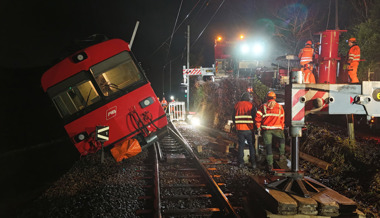«Die sind mit einem blauen Auge davongekommen» – Anwohnerin beobachtete Zugentgleisung
