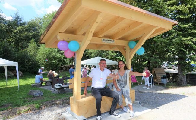 Fahrgemeinschaften: Gemeinsam fahren und so Umwelt- und Verkehrsprobleme mindern