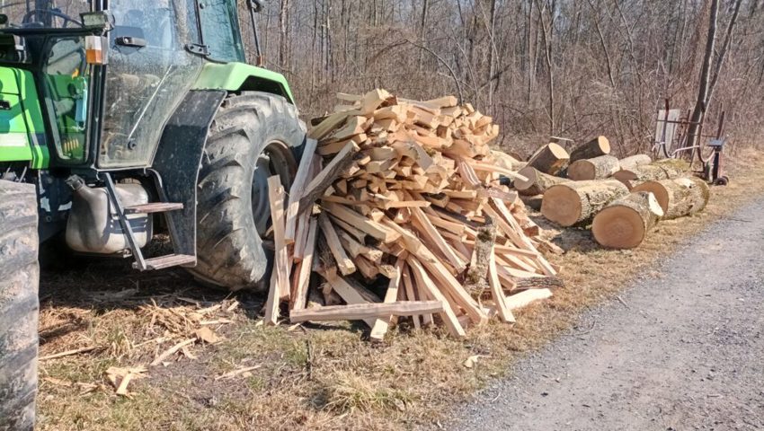  Brennholz ist begehrt wie noch nie.