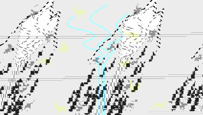  Je näher man sich dem Wald nähert, desto kleiner sollte der Raumanspruch werden, wie bei einem Trichter. Grafik: Verein Natur und Freizeit