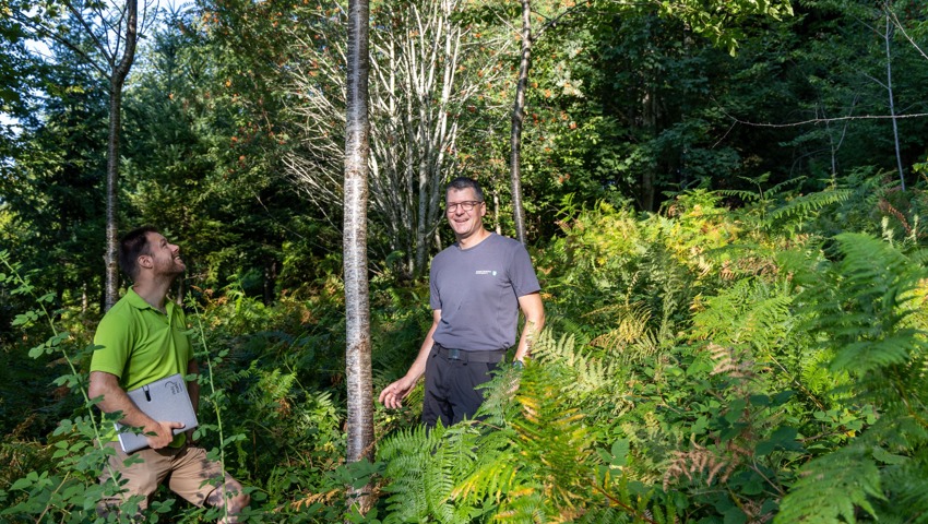 Der Toggenburger Regionalförster Christof Gantner (rechts) zeigt Andreas Geminger von Wald St. Gallen und Fürstentum Liechtenstein stolz, wie sich die mit Schülerinnen und Schülern gepflanzten Bäume in den letzten Jahren entwickelt haben. 