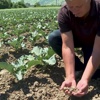 Extreme Trockenheit: Dem Werdenberg fehlt der Regen