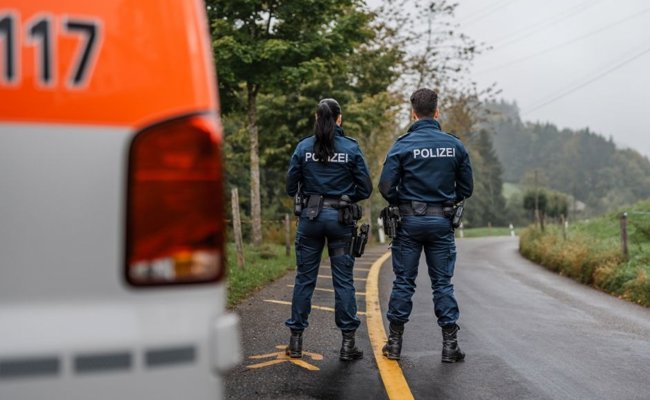 Zwei verletzte Kinder wegen ausgebüxter Rinder bei Olma