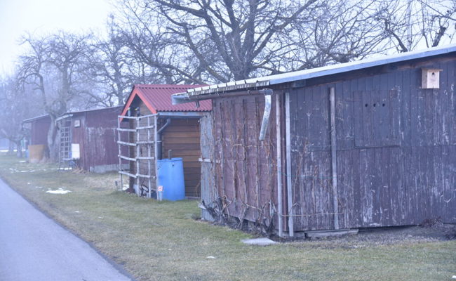 Leserbrief: Alle werden durch die Pläne der Ortsgemeinde Buchs verlieren