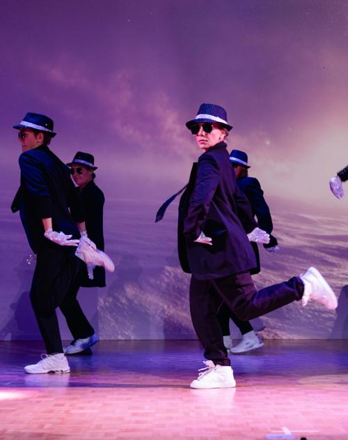 Über 100 Tänzerinnen und Tänzer zeigten Performances voller Emotionen