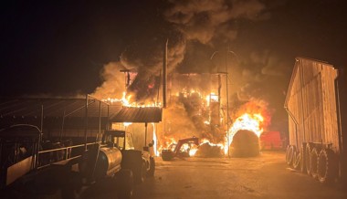 Stall wird Raub der Flammen - 95 Tiere gerettet