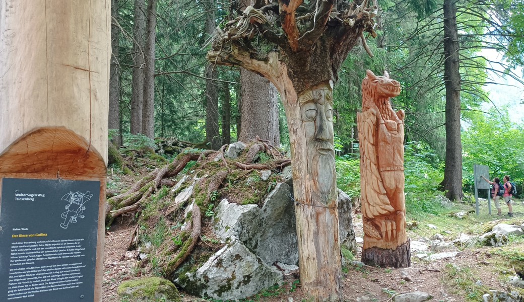 Die Sagenwesen sind teilweise riesige Skulpturen aus Holz. Hier der «Riese von Guflina» beim Spielplatz Studa oberhalb Rizlina.