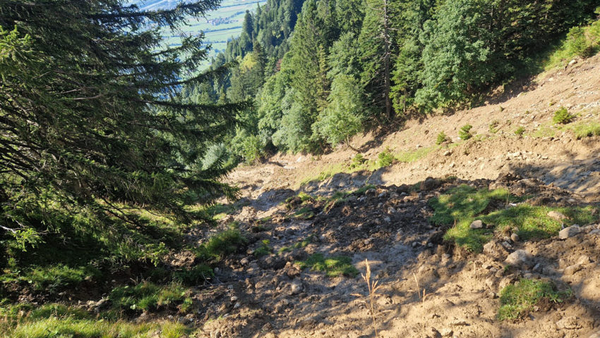  Im kommenden Frühling werden Aufräumarbeiten nötig sein. 