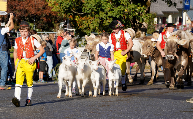 Brauchtum, Tiere und Tradition in Alt St. Johann gefeiert