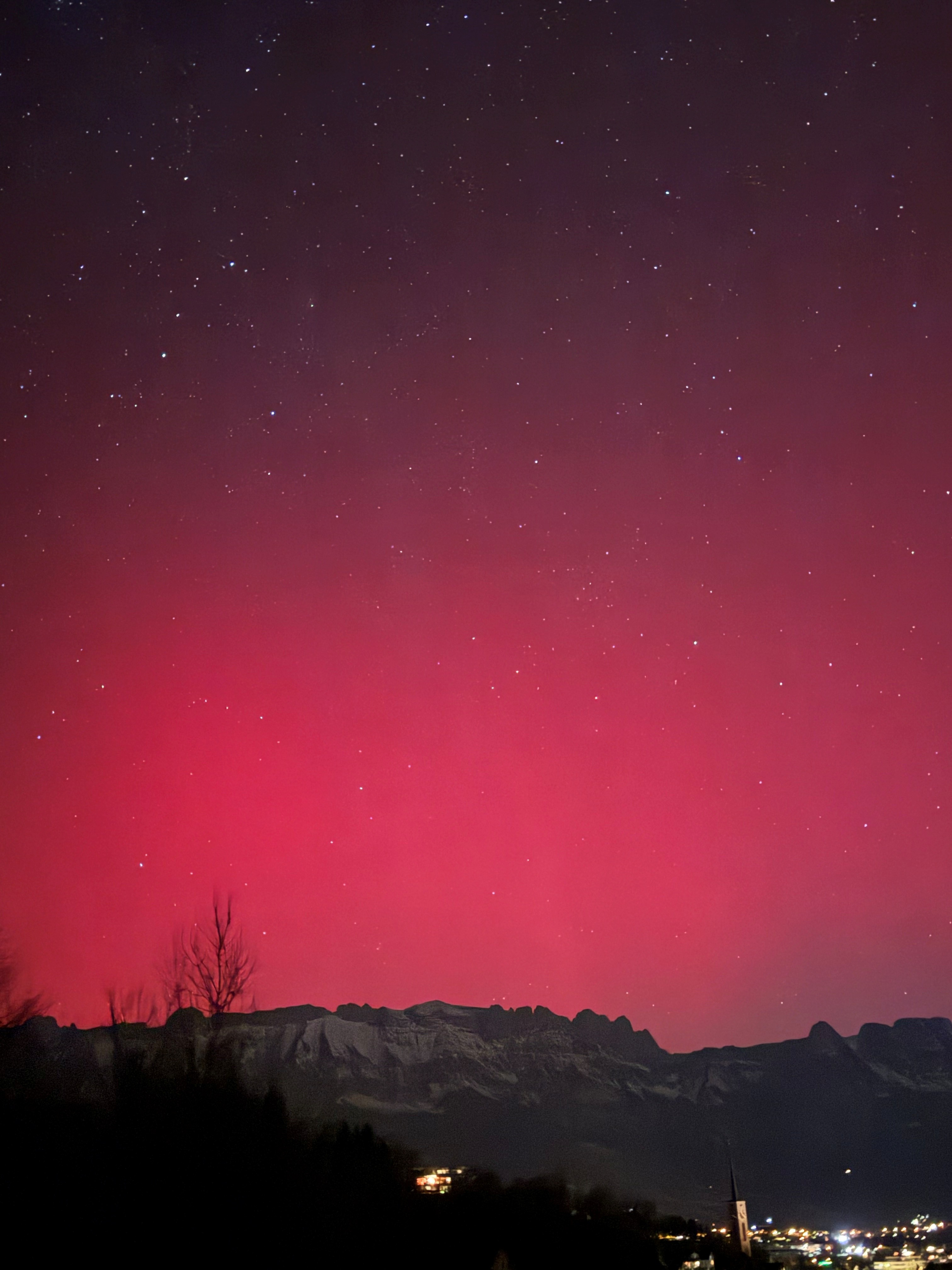 Standort: Plattnachwingert, Buchs. Bild: Daniel Senn