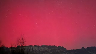 Standort: Plattnachwingert, Buchs. Bild: Daniel Senn