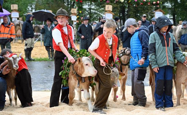 Mit Stolz und Sennentracht: Zwei Jungzüchter an der Viehschau