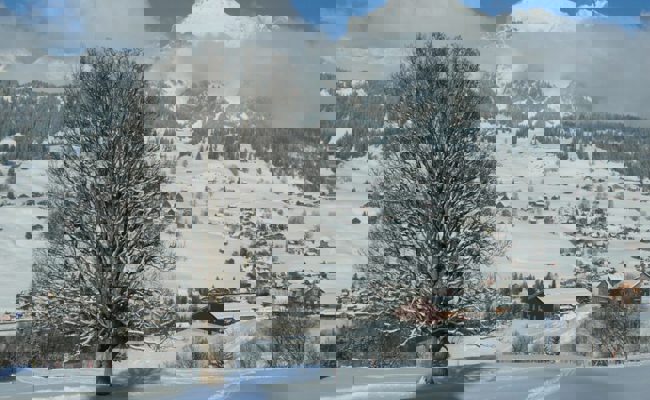 Rechnung 2021 und Gewinnverwendung an der Urne genehmigt