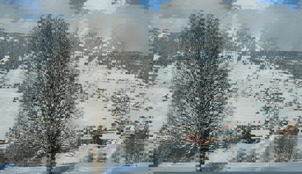 Rechnung 2021 und Gewinnverwendung an der Urne genehmigt