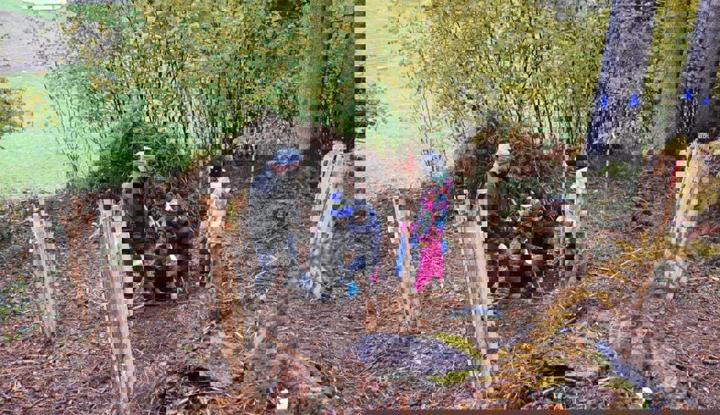  Allein im Toggenburg wurden seit 2011 über 10'000 Bäume gepflanzt. 