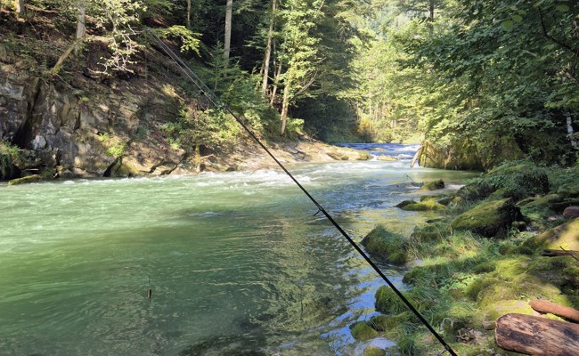 Eine «Fischerei-App» soll das Fangbuch ersetzen