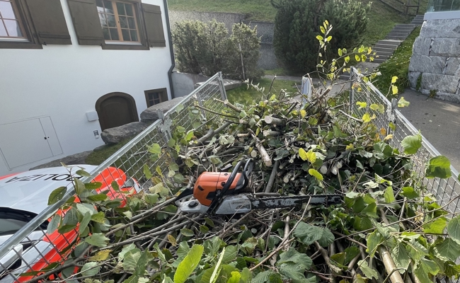 Arbeiter verletzt sich mit Kettensäge im Gesicht