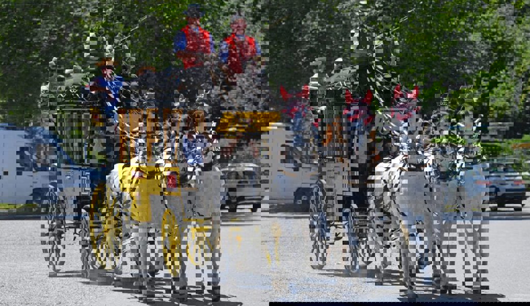  Heutzutage ein seltenes 